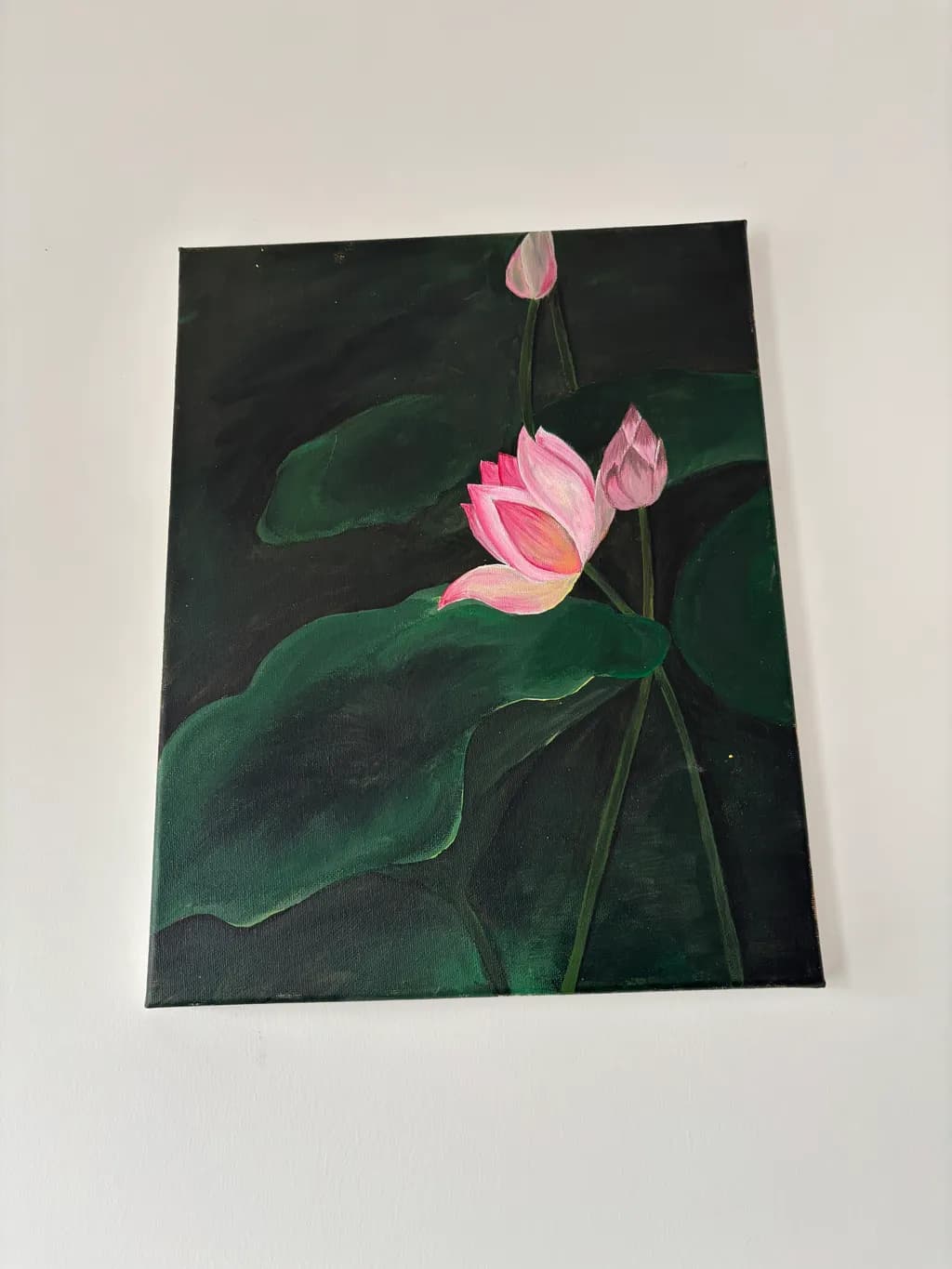 Lotus Blossoms