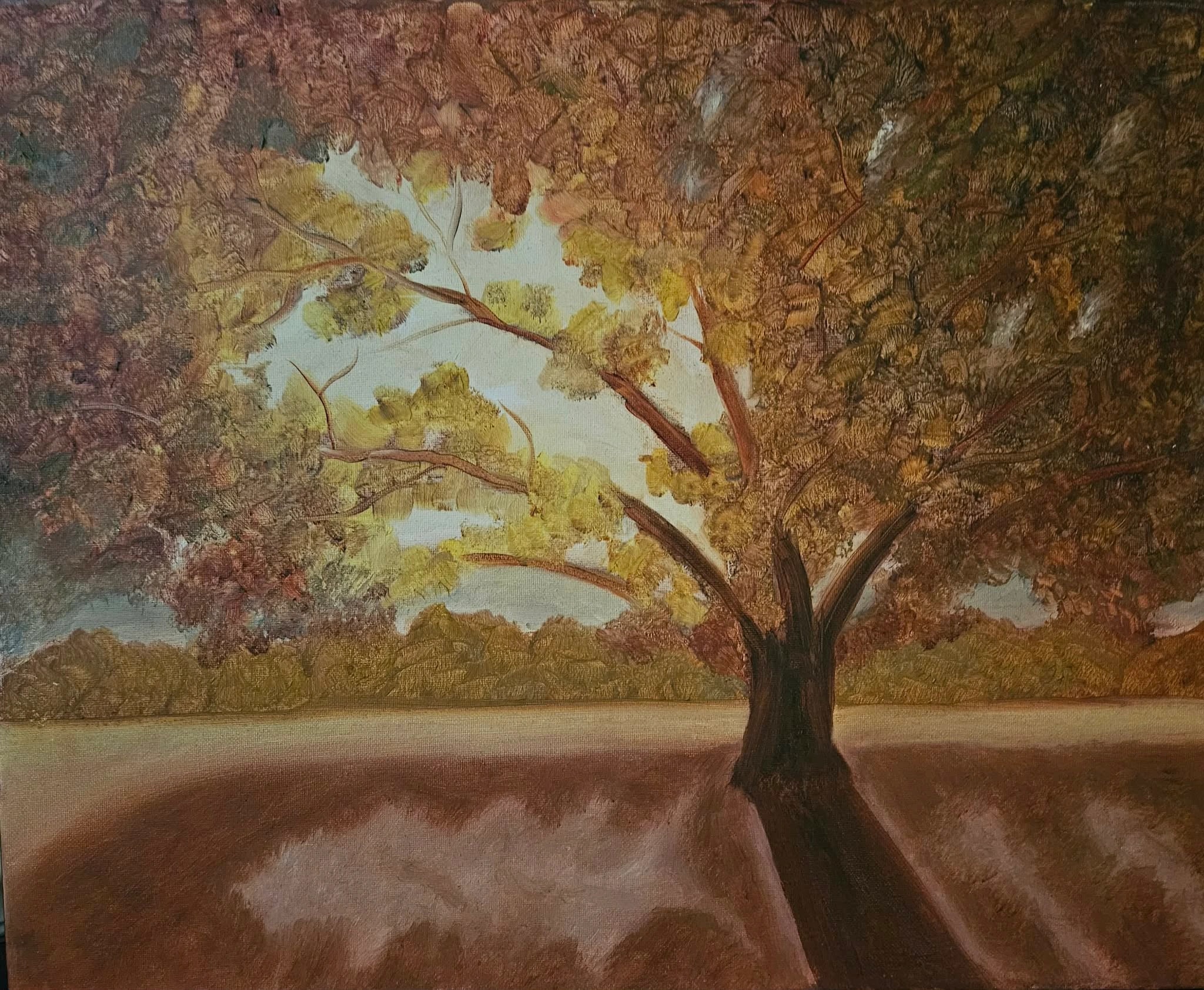 Autumn Tree Shadow