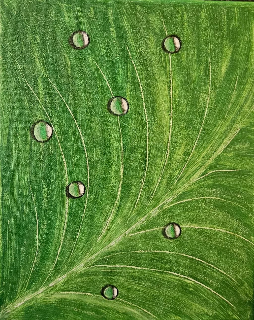 Leaf Veins with Droplets