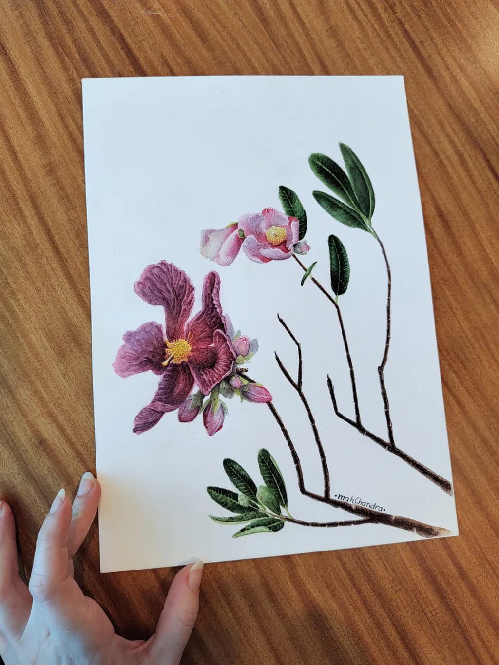 Blooming Branch