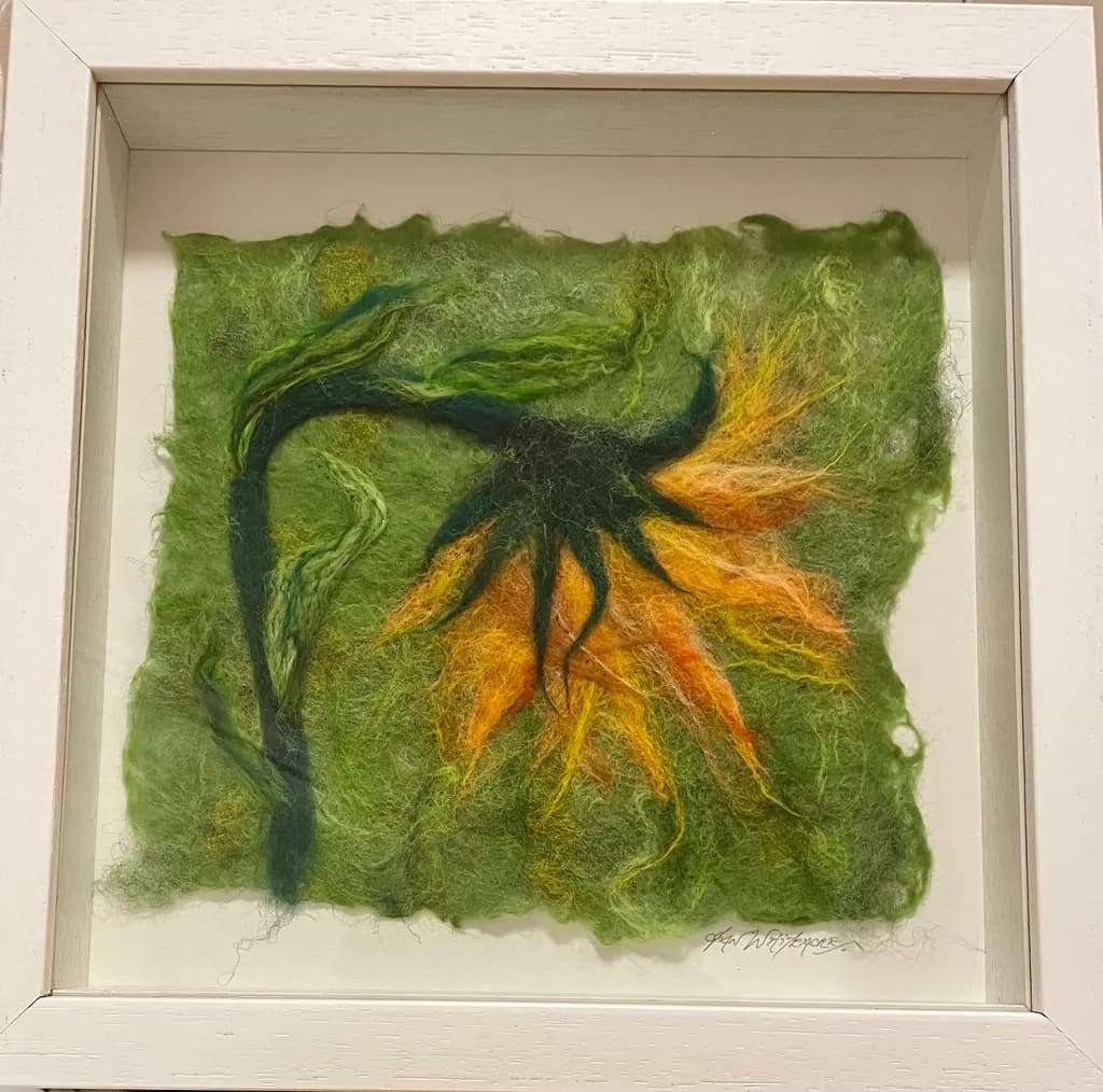 Drooping Sunflower
