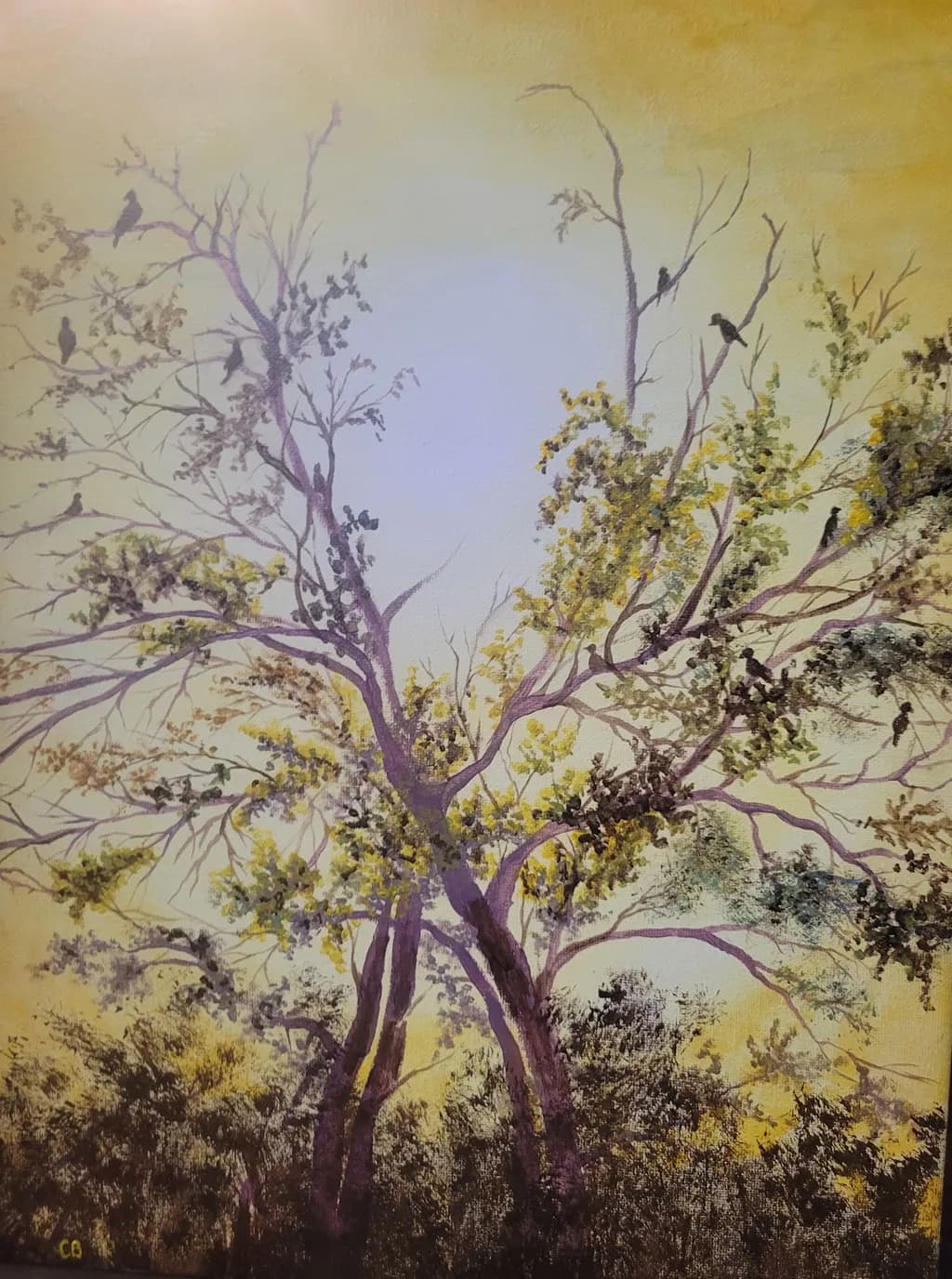 Birds in the Canopy