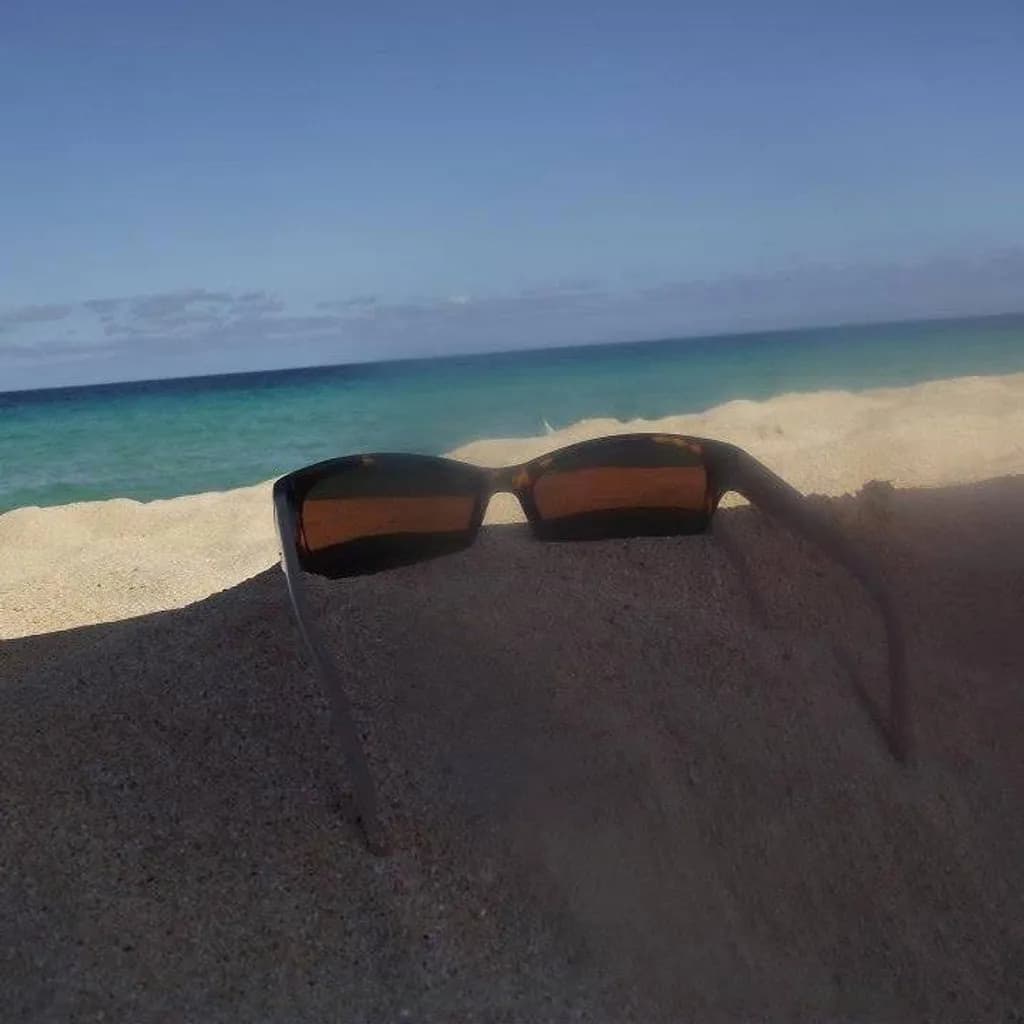 Sandy Shades