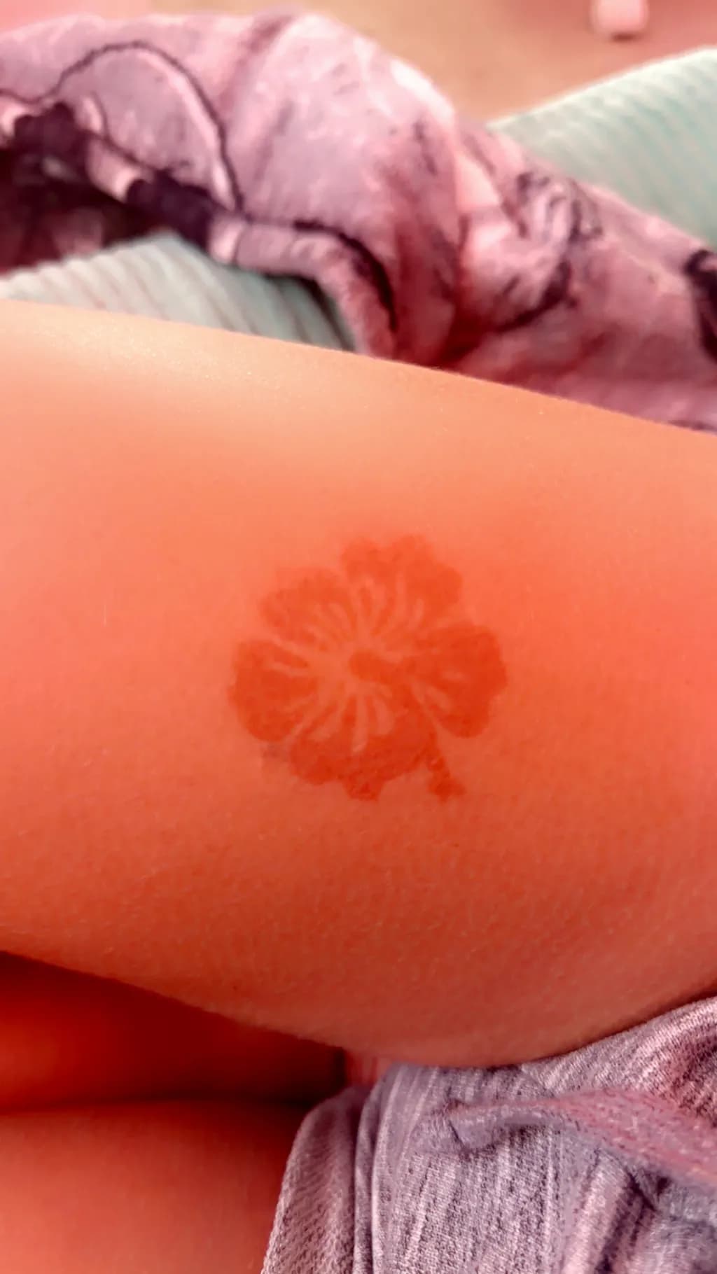 Faded Hibiscus