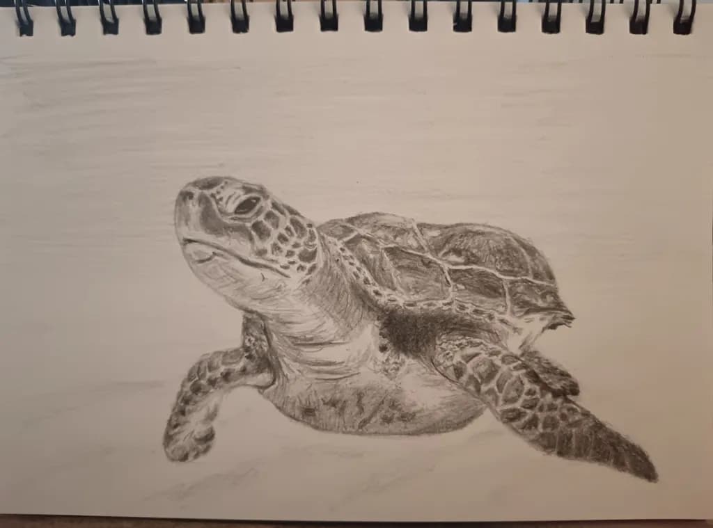 Gliding Turtle