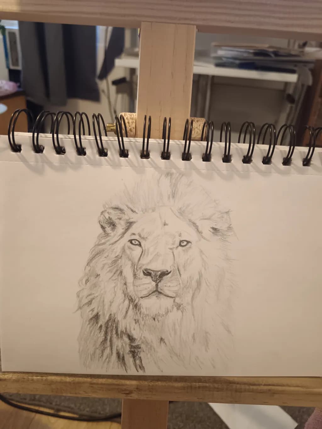 Regal Gaze