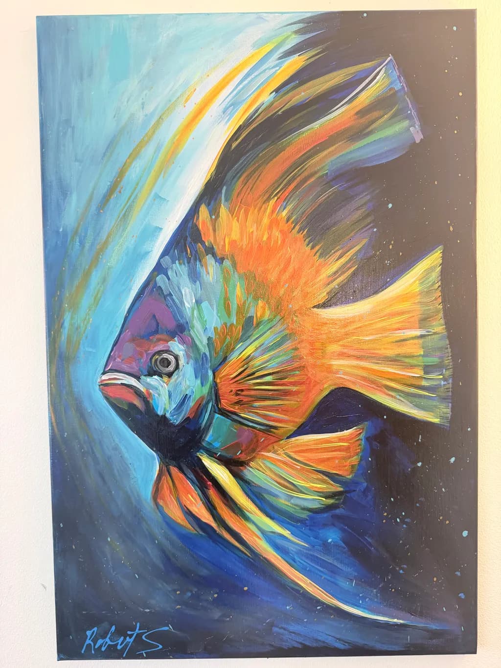 Radiant Angelfish