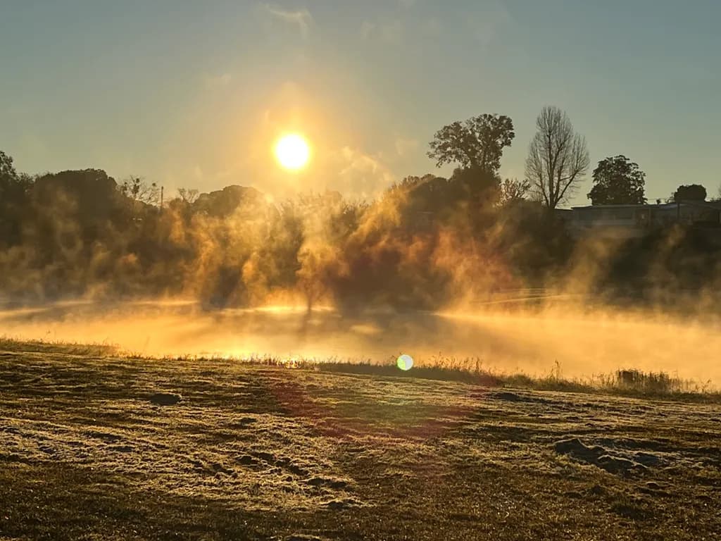 Mist at Dawn