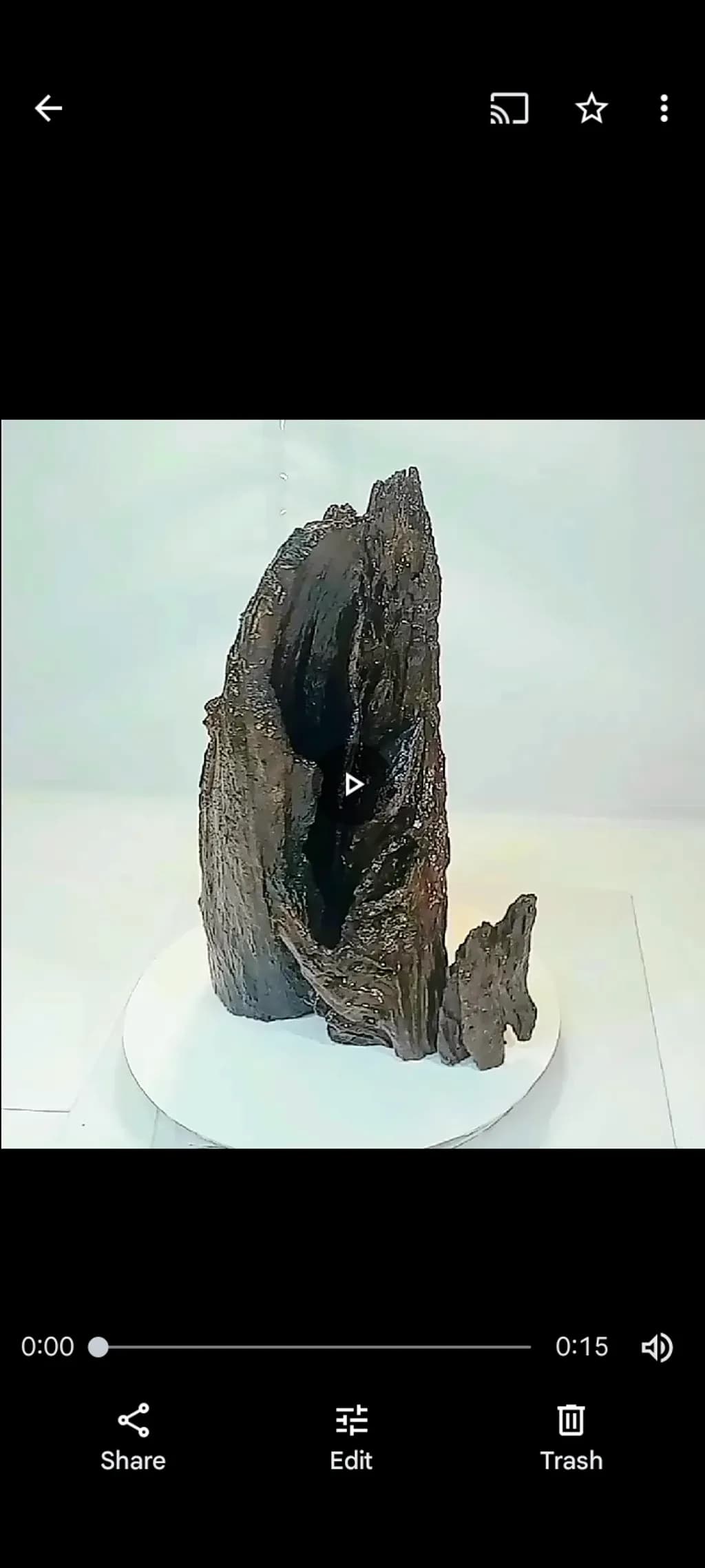Textured Woodform
