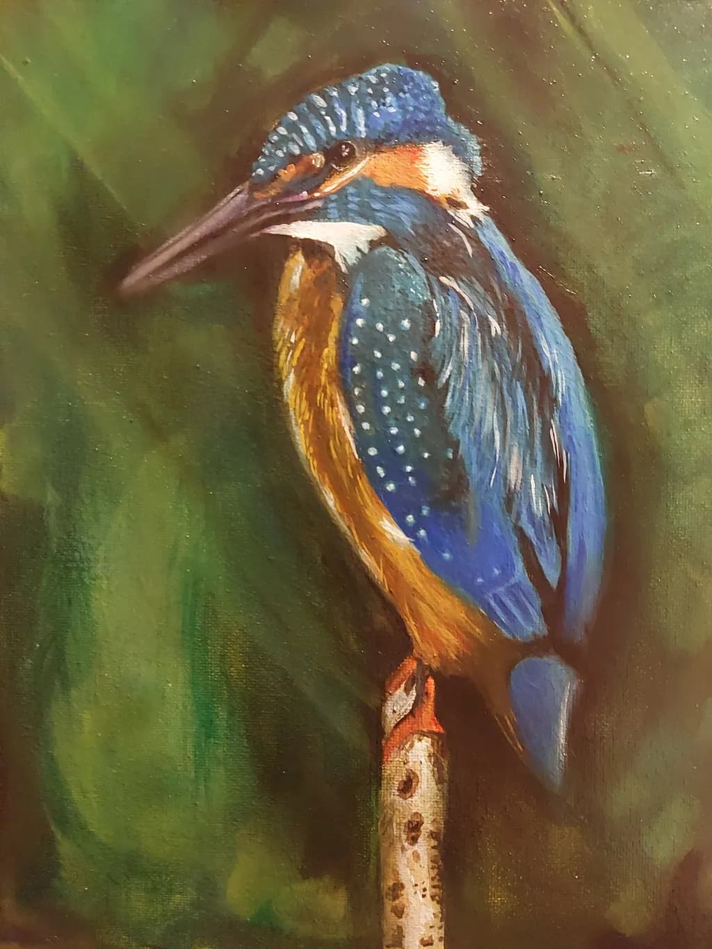 Perched Kingfisher