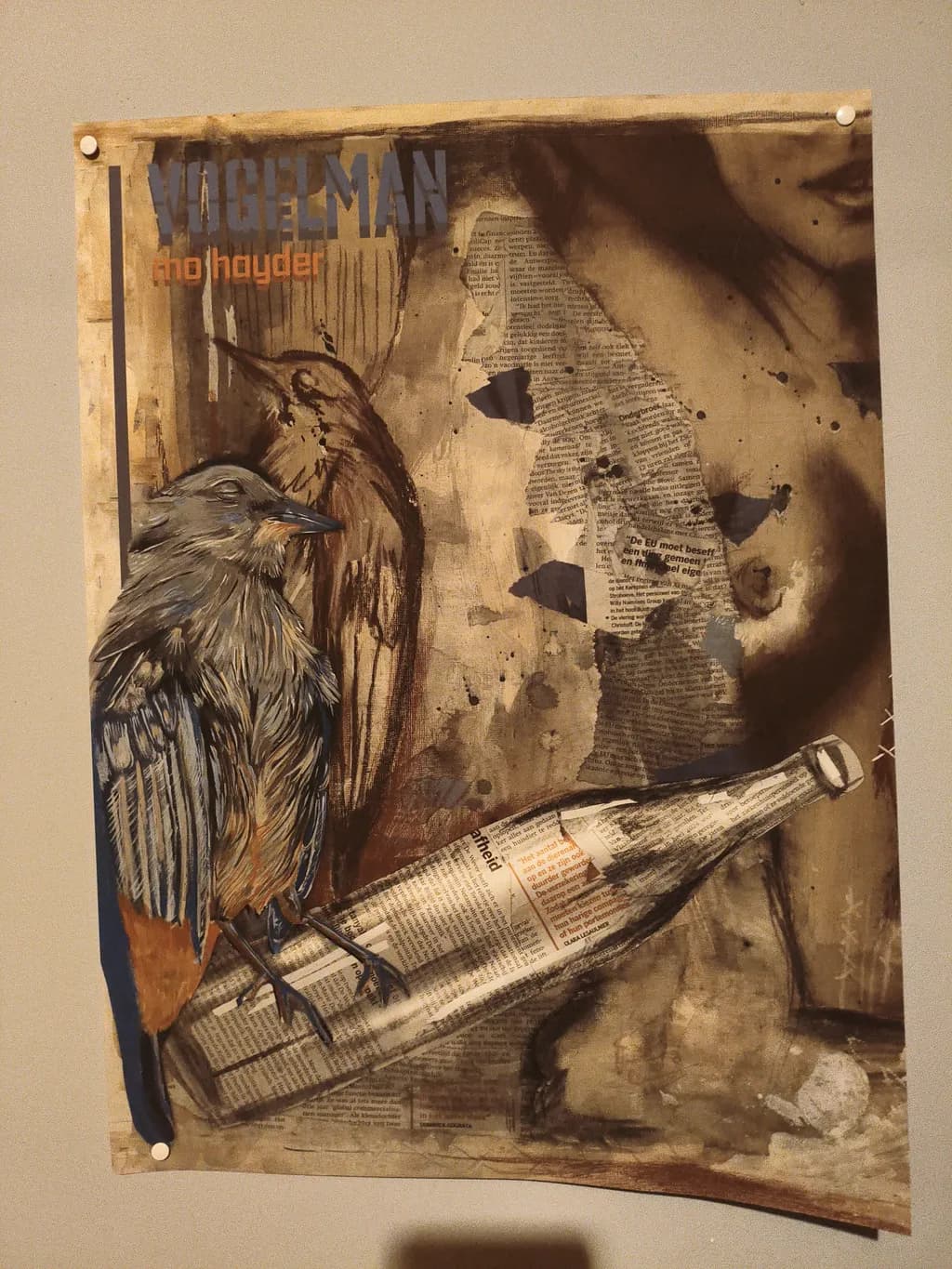 Newspaper Crow