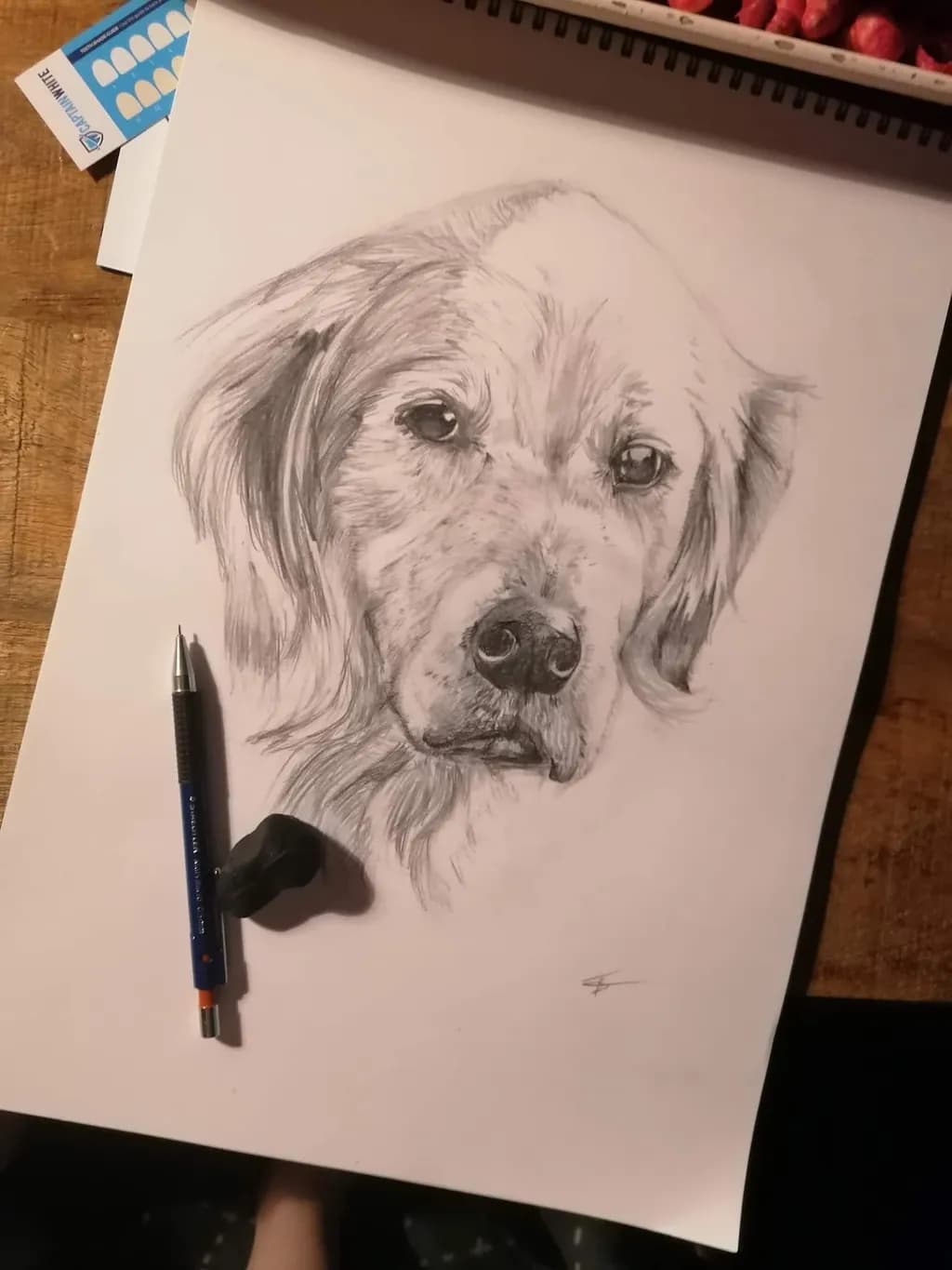 Gentle Gaze
