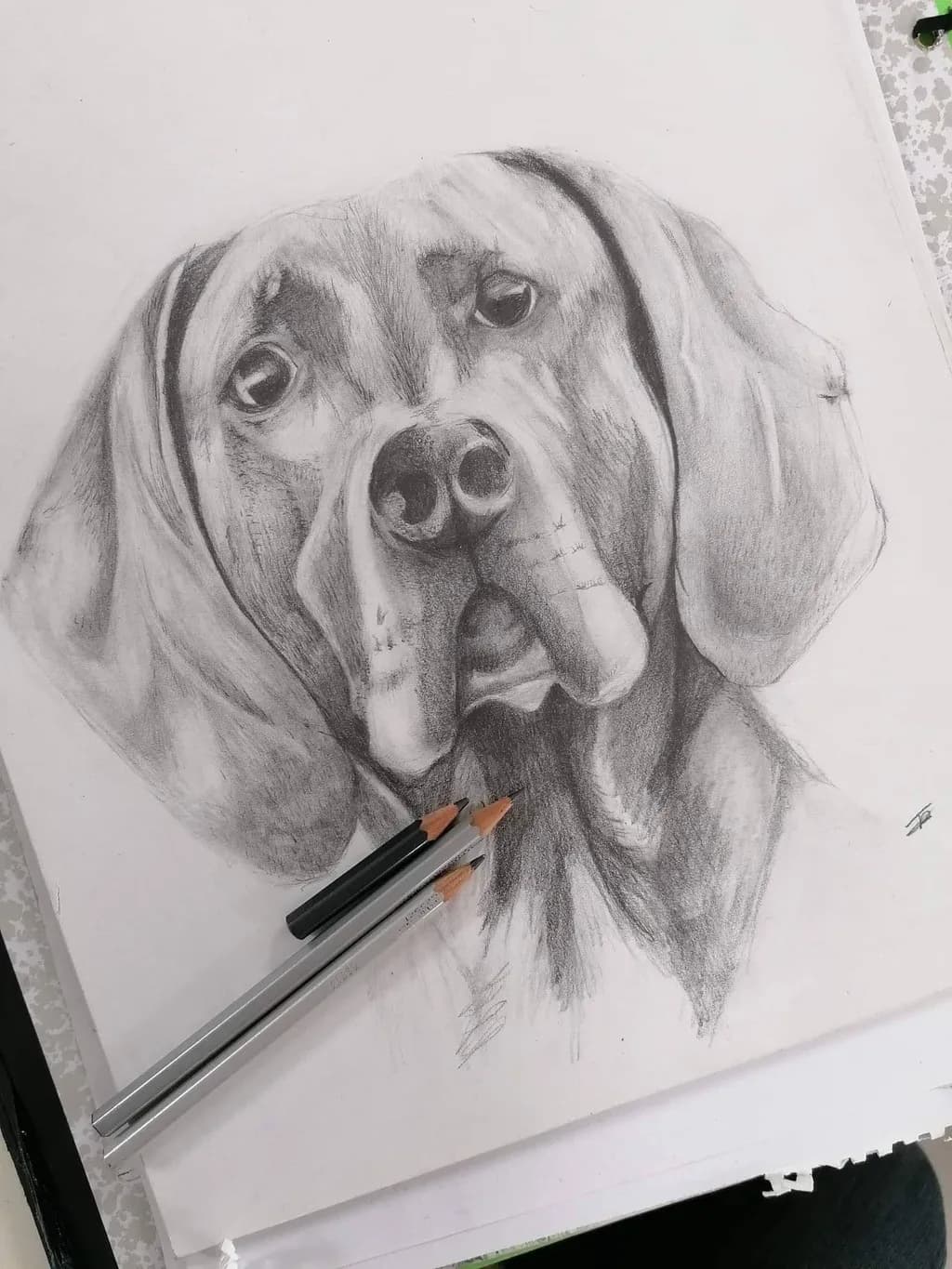 Pensive Pup
