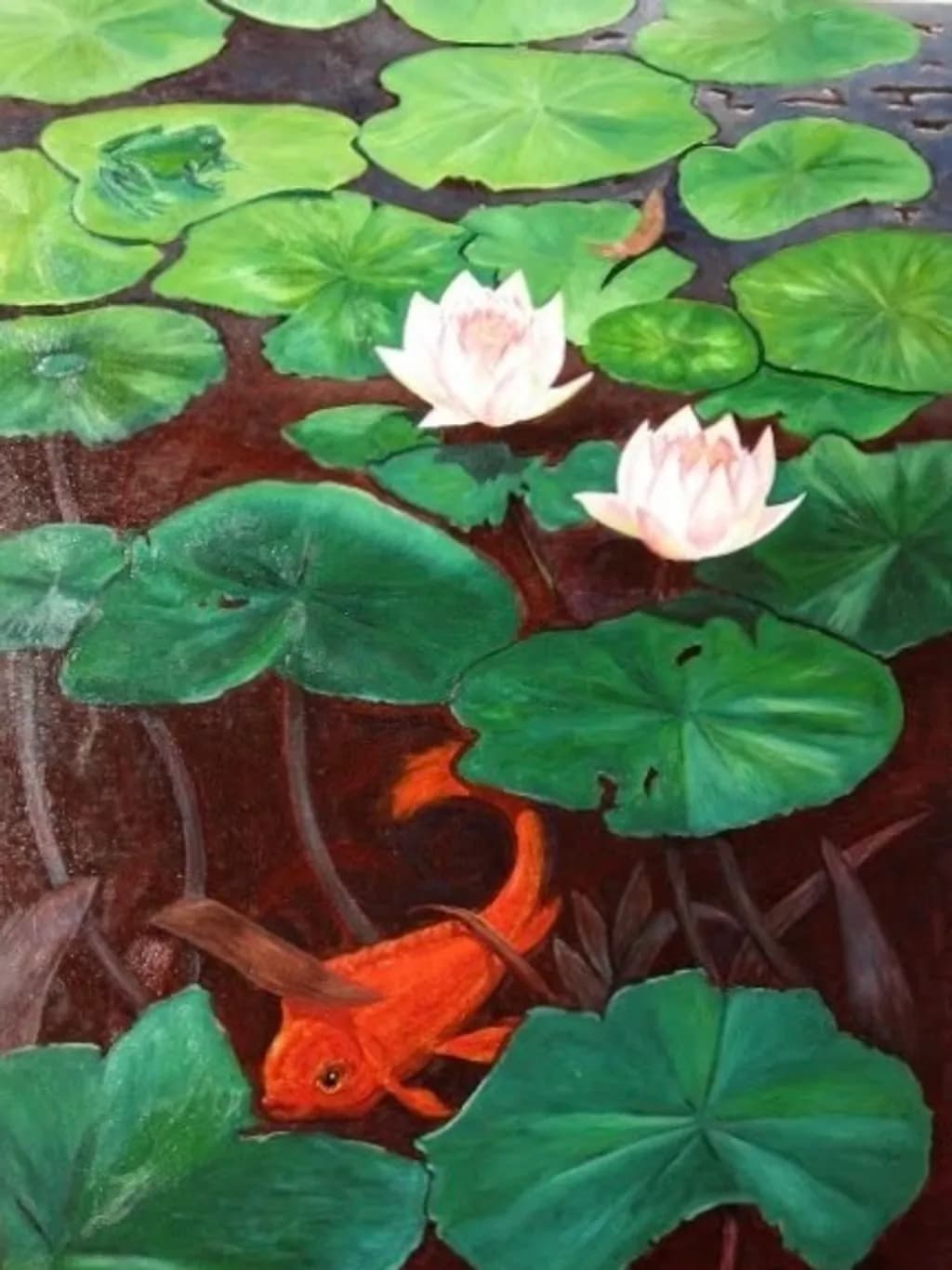 Lotus Pond Life
