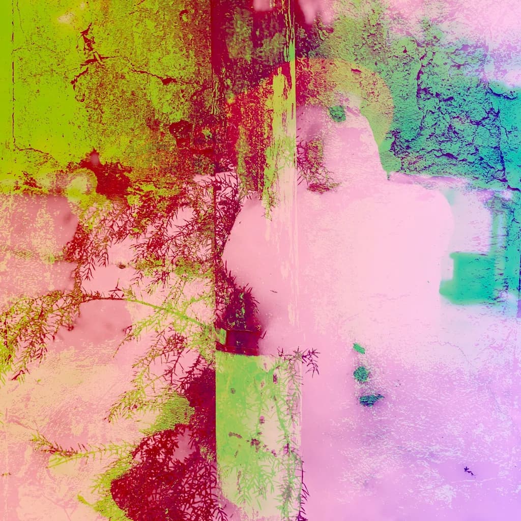 Fragmented Bloom