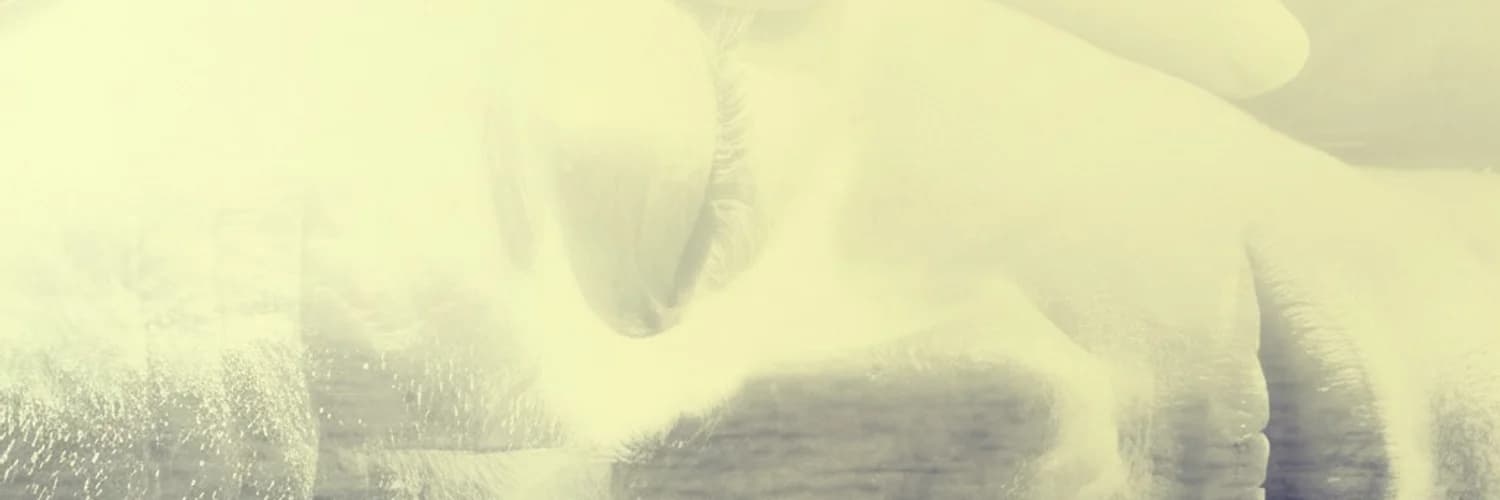 Banner del perfil