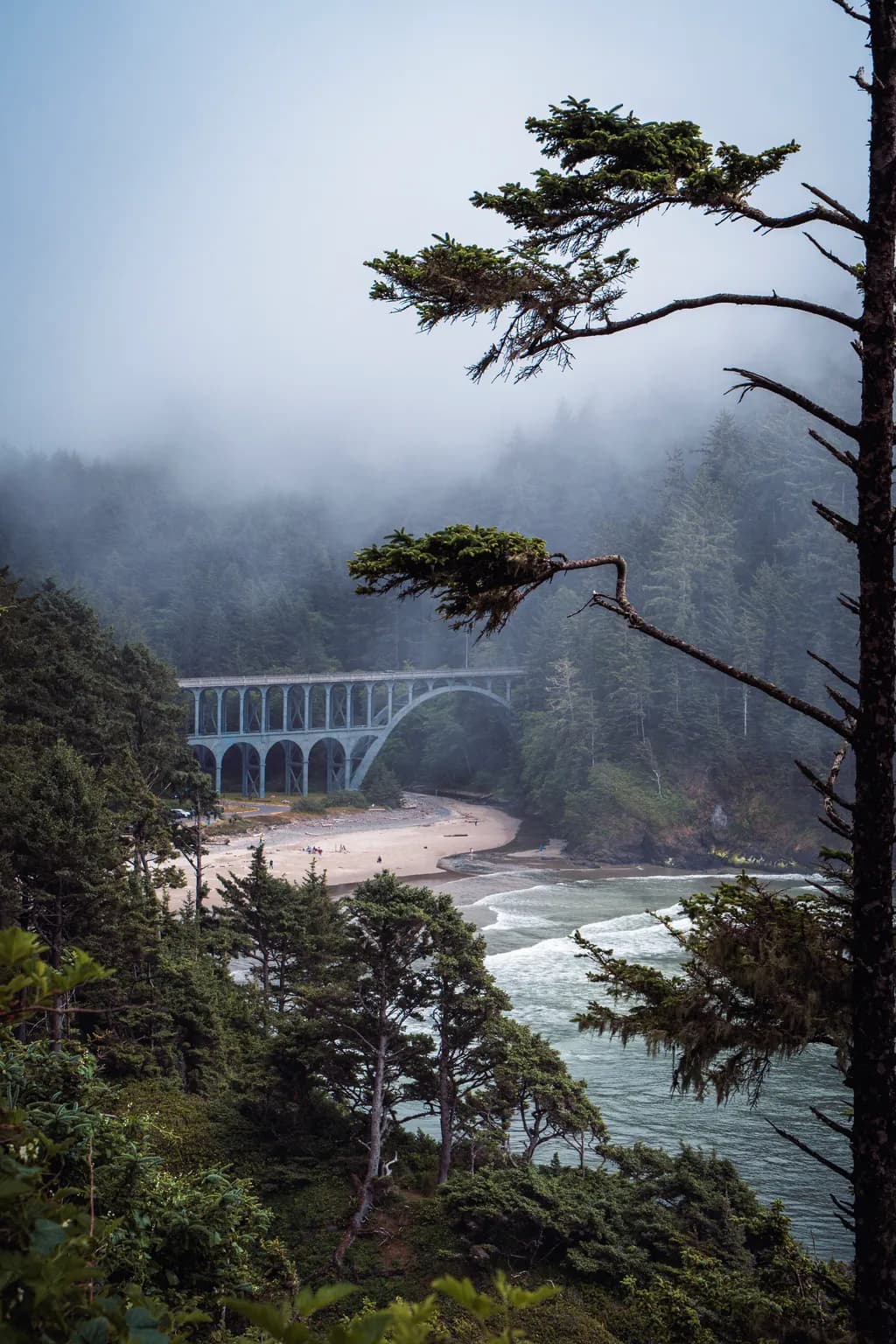 Misty Coastal Bridge