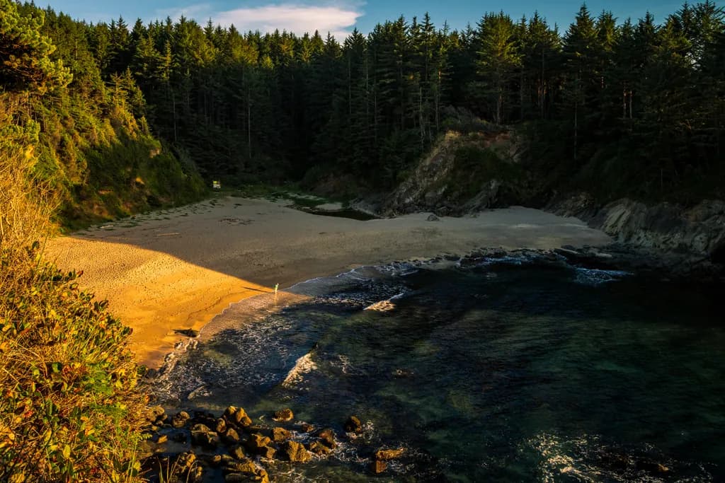 Golden Cove