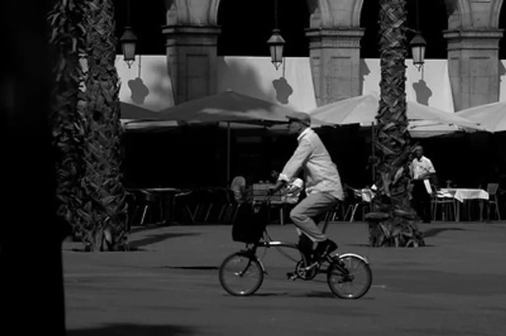Urban Cycle