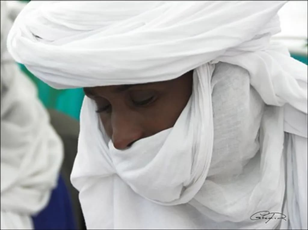 Veiled Contemplation