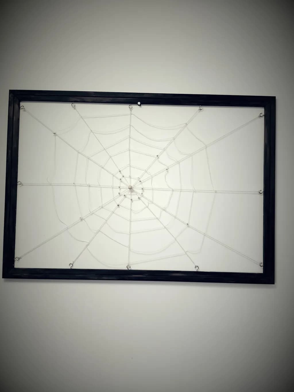 Framed Web
