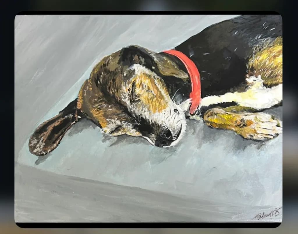 Resting Hound