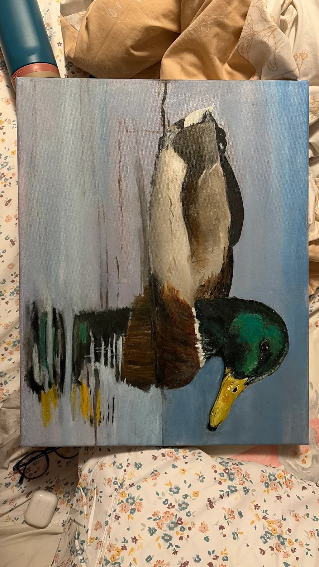 Fading Mallard