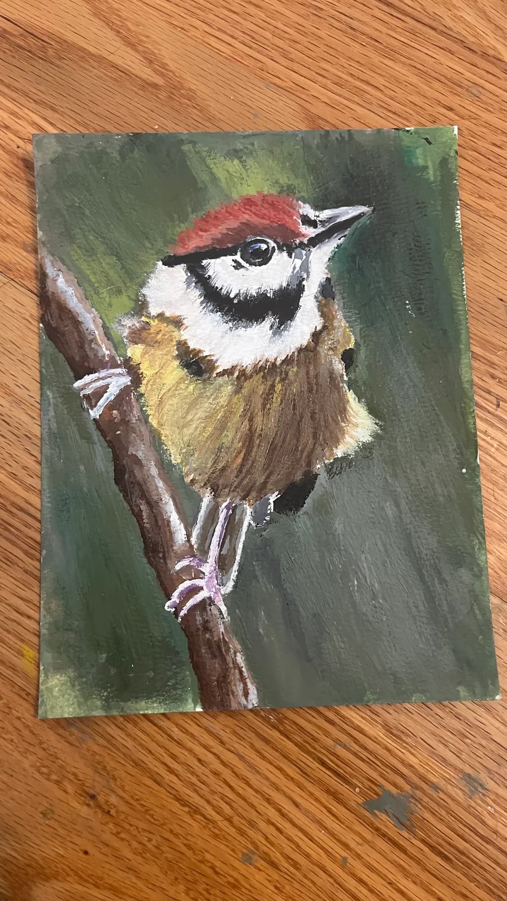 Crimson-Capped Chickadee
