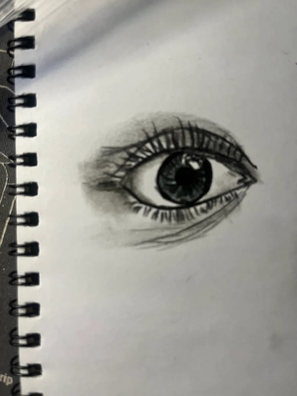 Focused Gaze