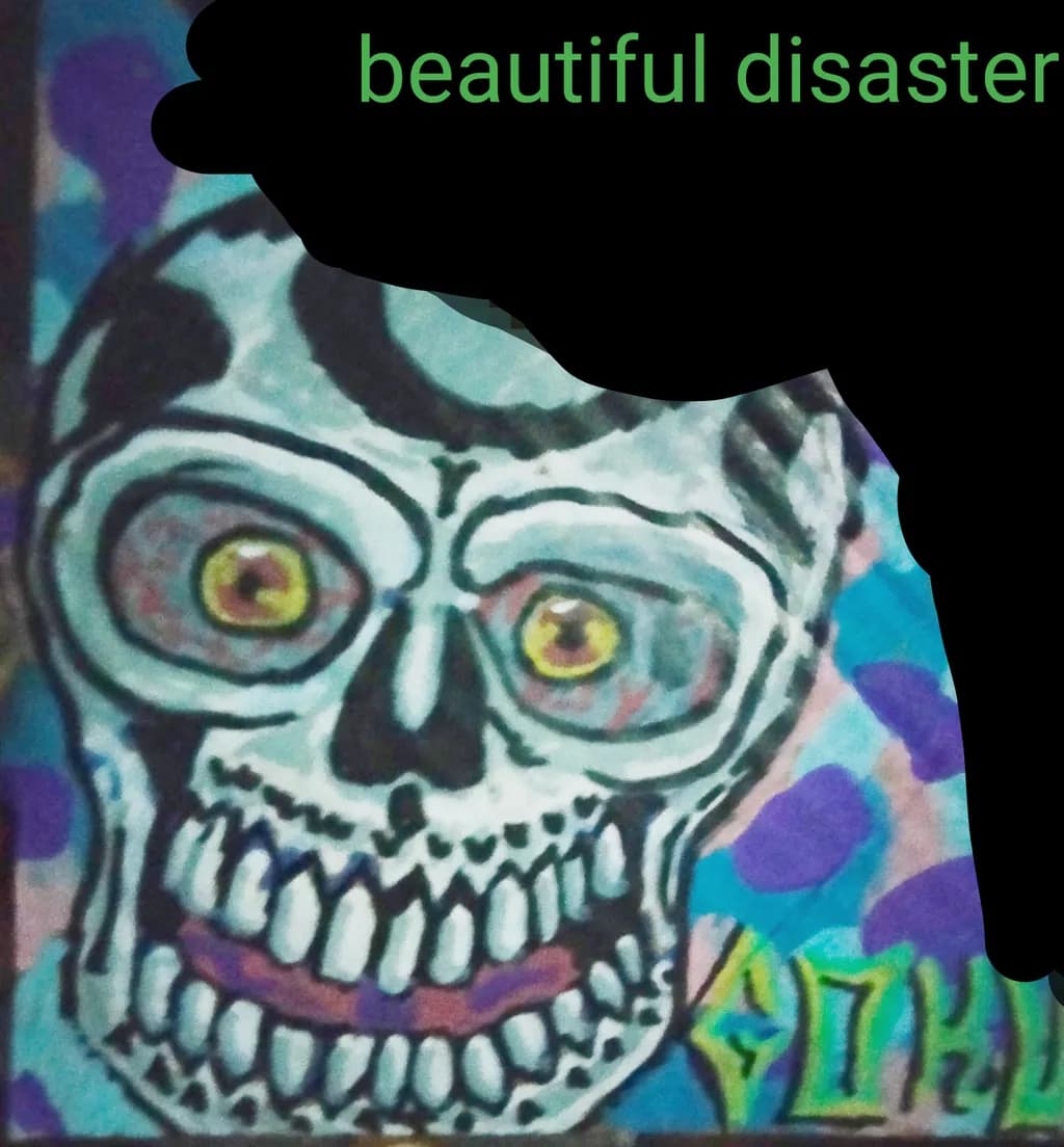Beautiful Disaster