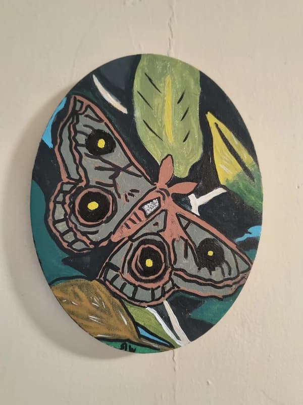 Moth on a leafy tree branch