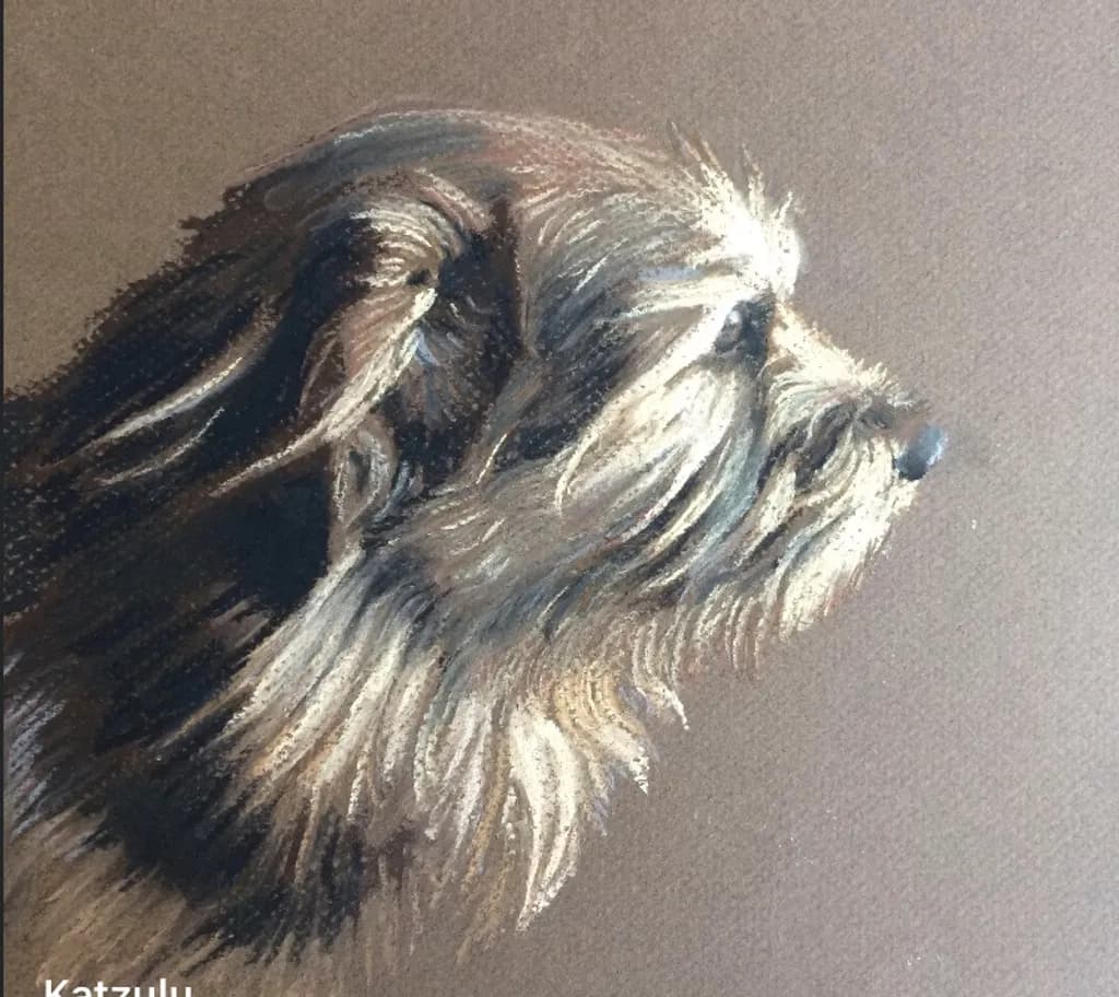 Thoughtful Terrier