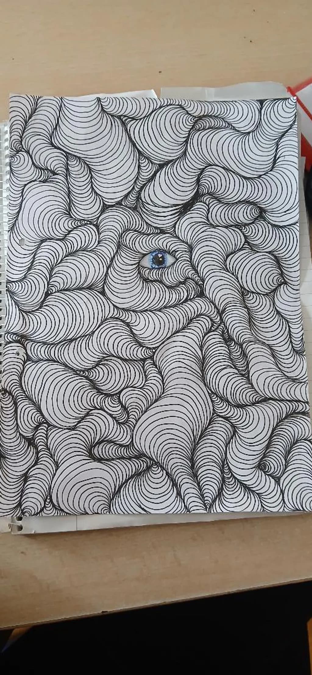 Hidden Gaze