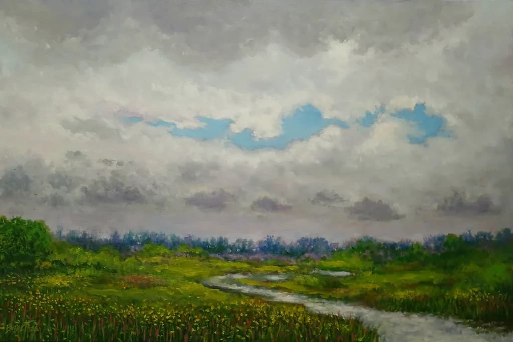 Marsh Land Under a Cloudbreak