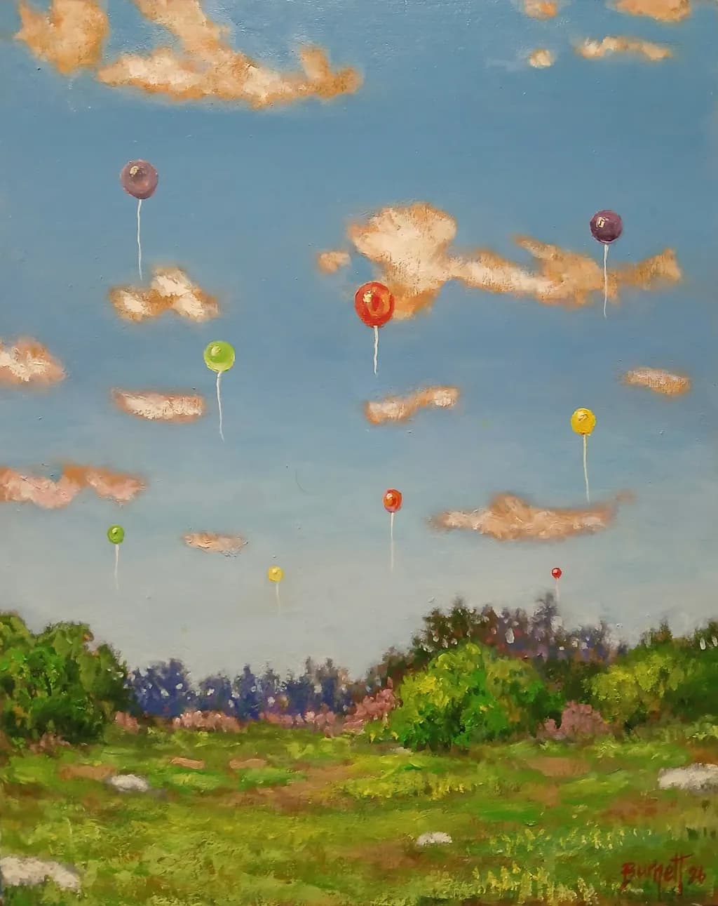 Balloons in Meadow Skies