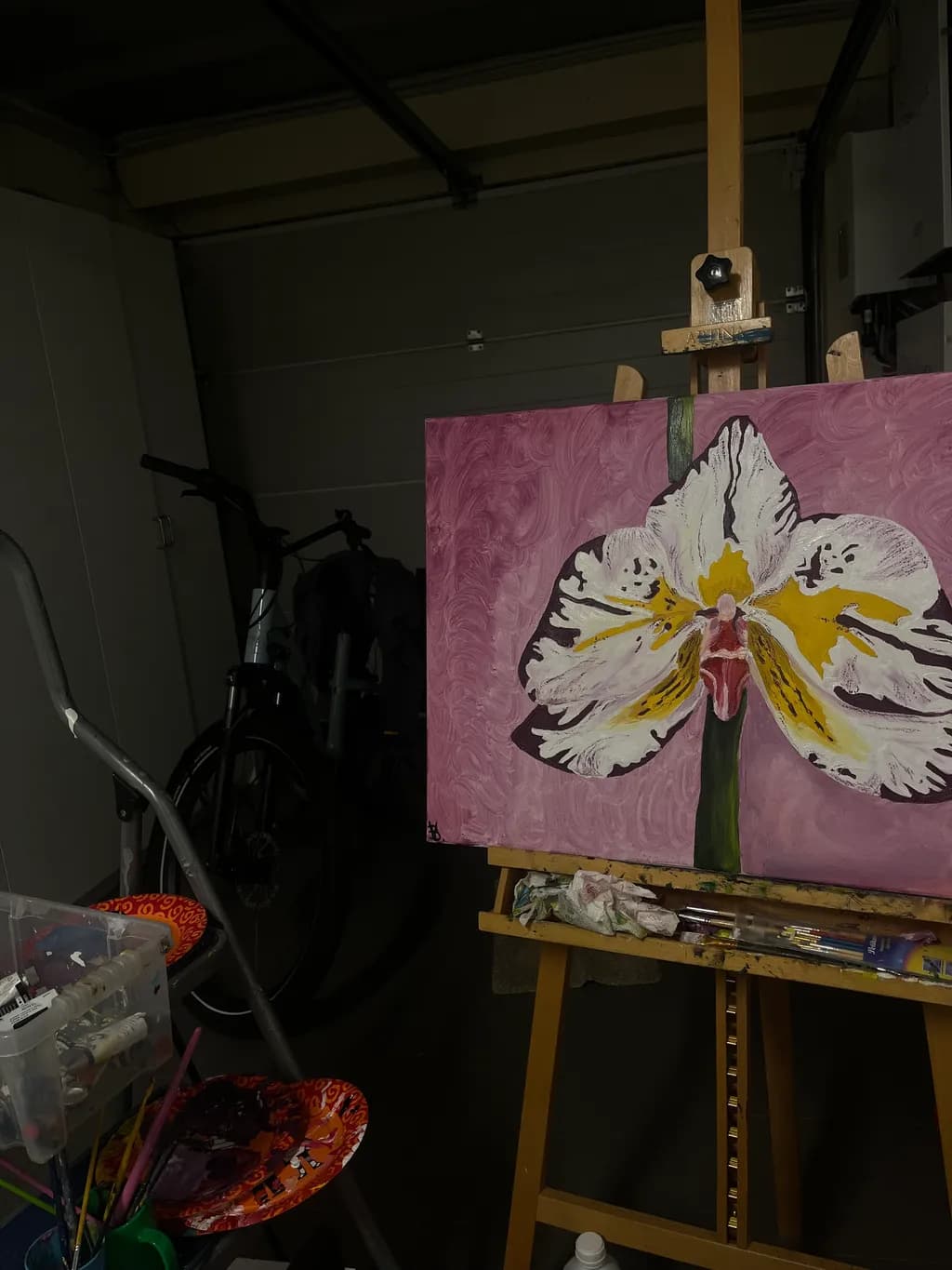 Orchid Bloom
