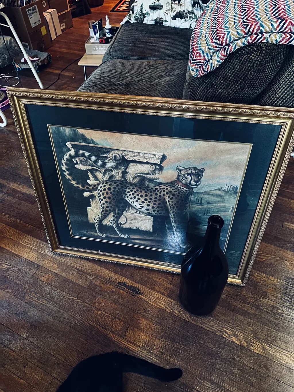 Cheetah Among Ruins