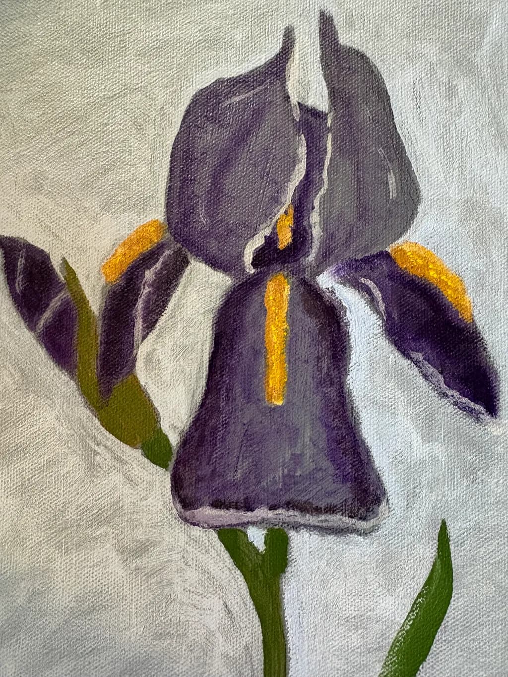Purple Iris Bloom