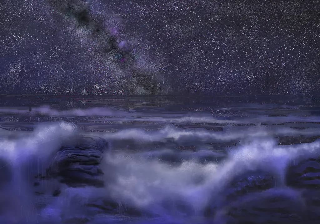 Night Sea Stars