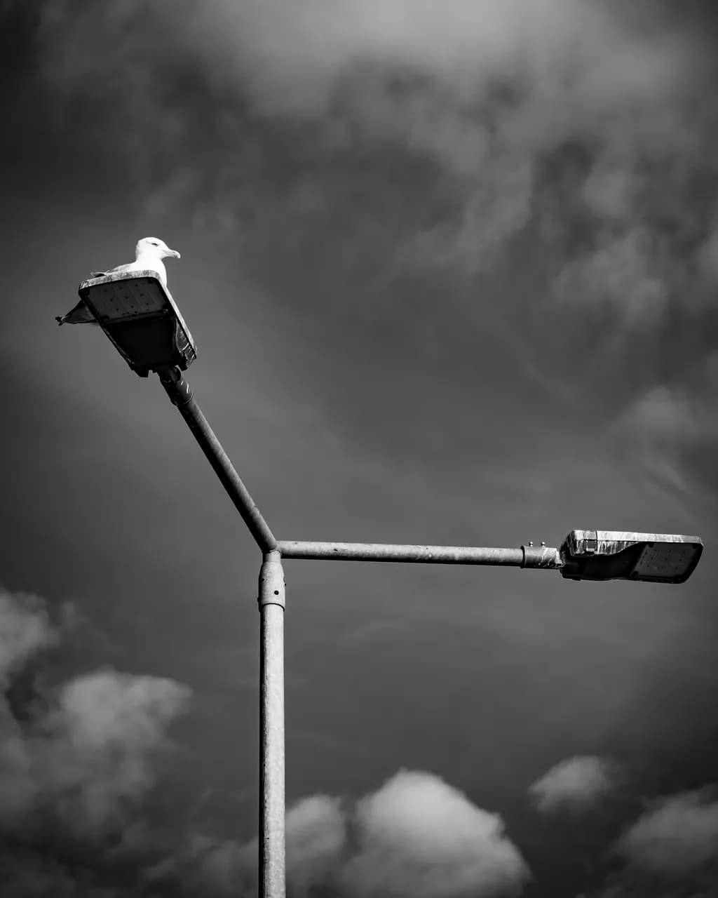 Alone
