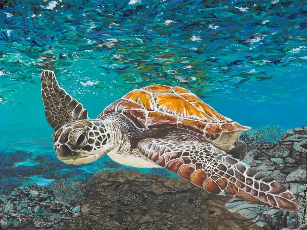Honu Reflection