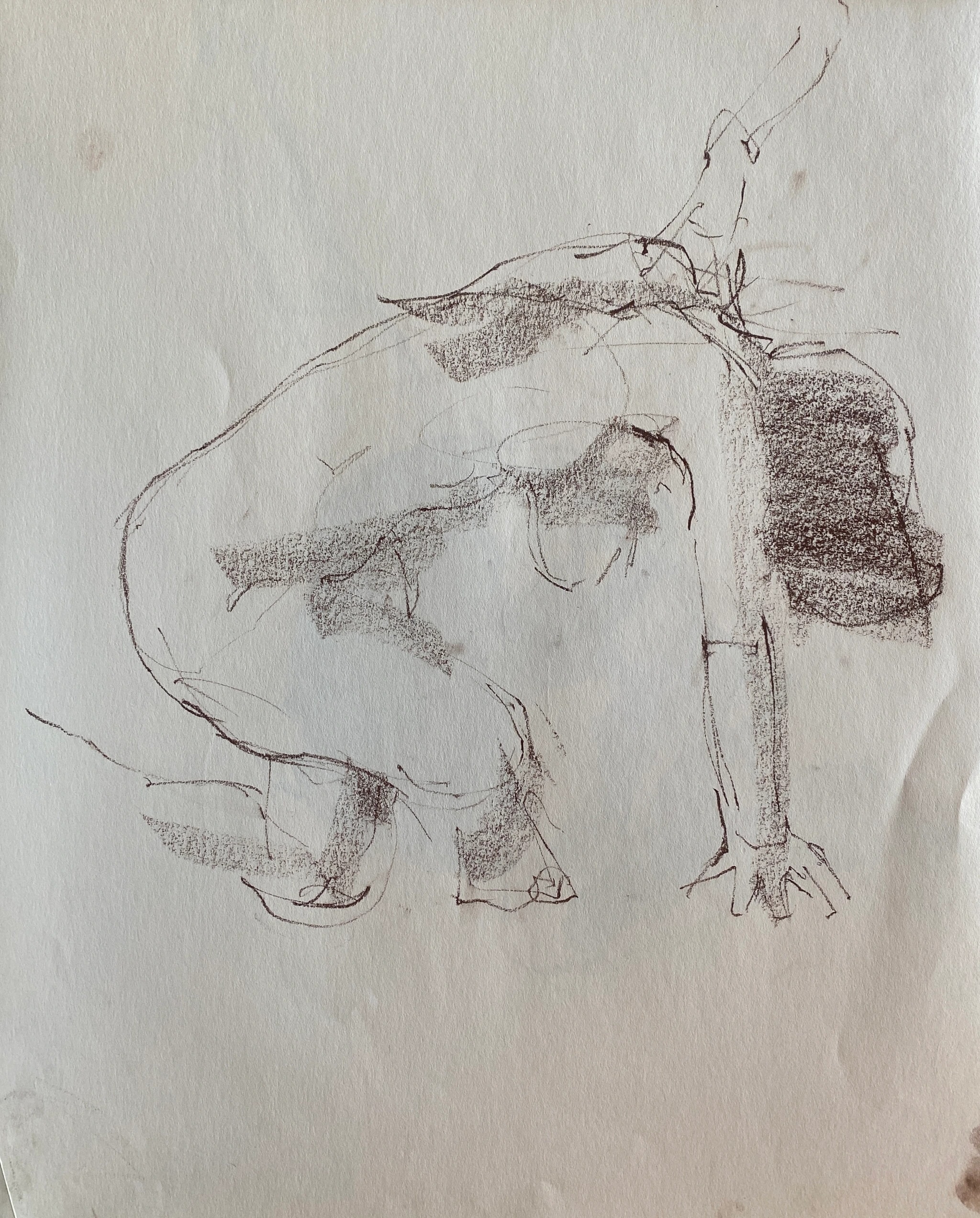 Seated Figure Study