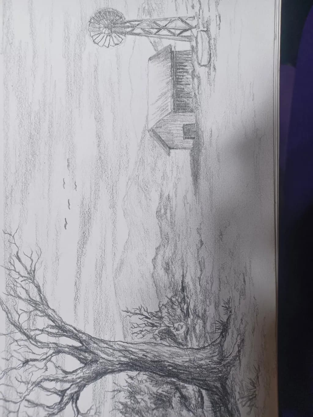 Desolate Homestead