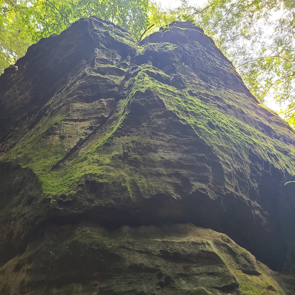 Mossbound Monolith