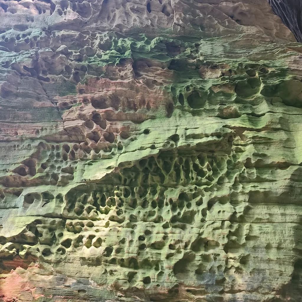 Mossscape Cavern