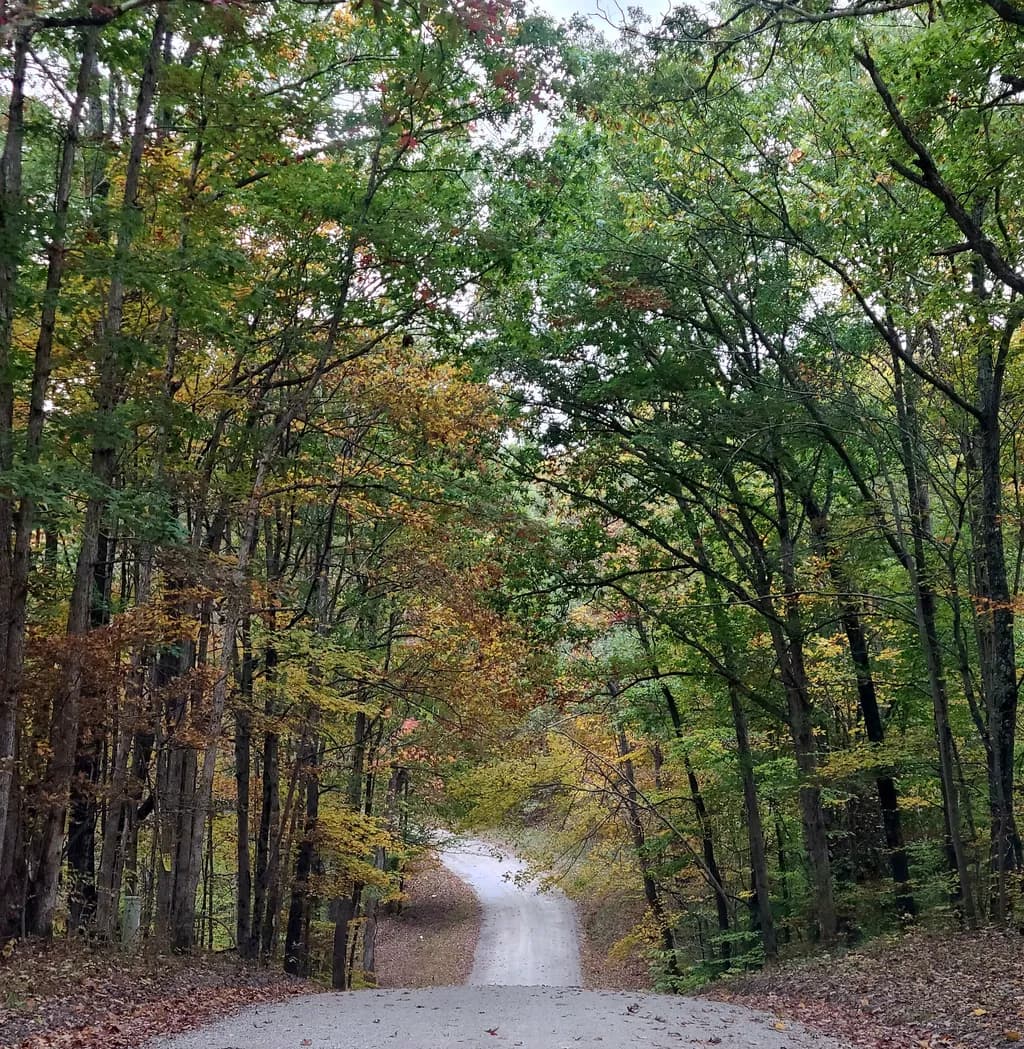 Autumn Passage