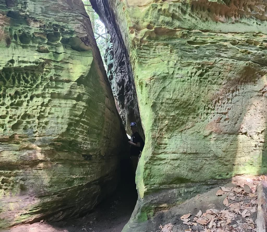 Mossed Crevice Exploration