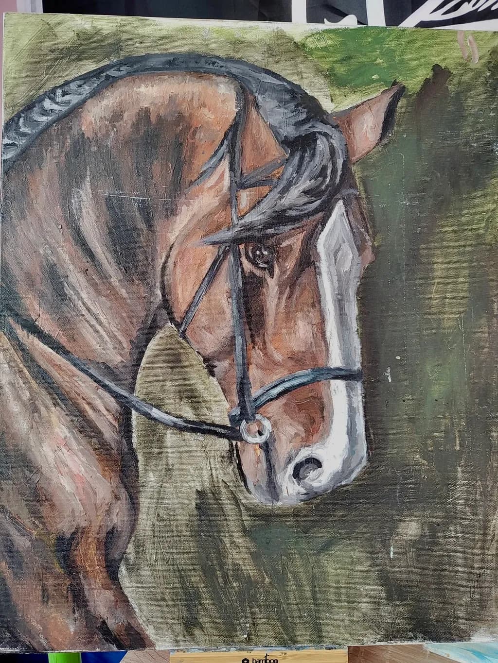 Bridle Gaze