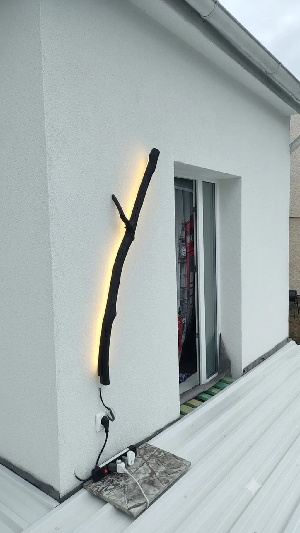 Illuminated Branch