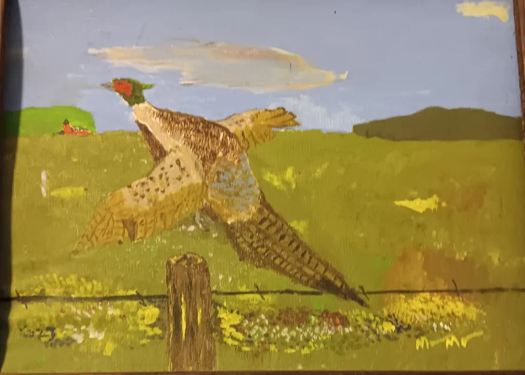Flight Over Meadow